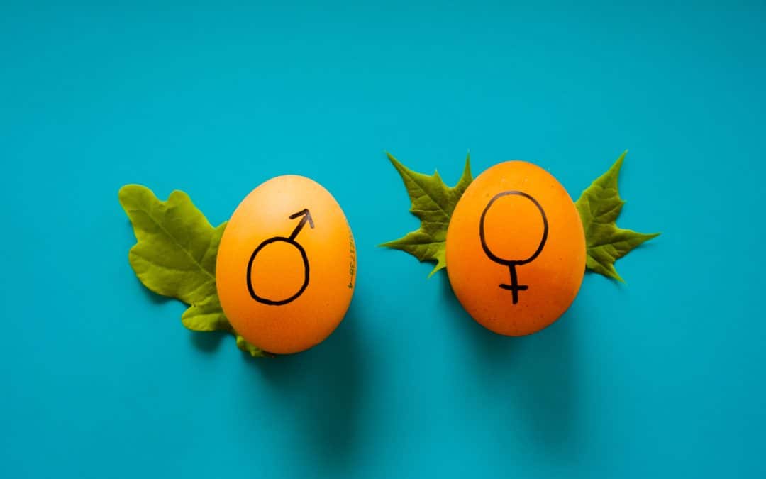 Genderism in the Therapy: How Does Gender Affect Counseling?