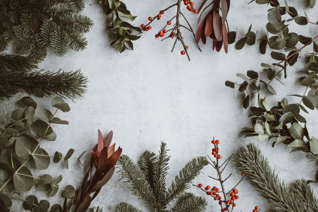 Holiday-themed flat lay featuring winter greenery, eucalyptus leaves, and red berries