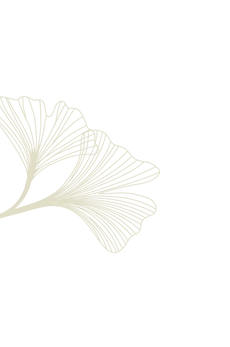 Abstract beige ginkgo leaf illustration on transparent background