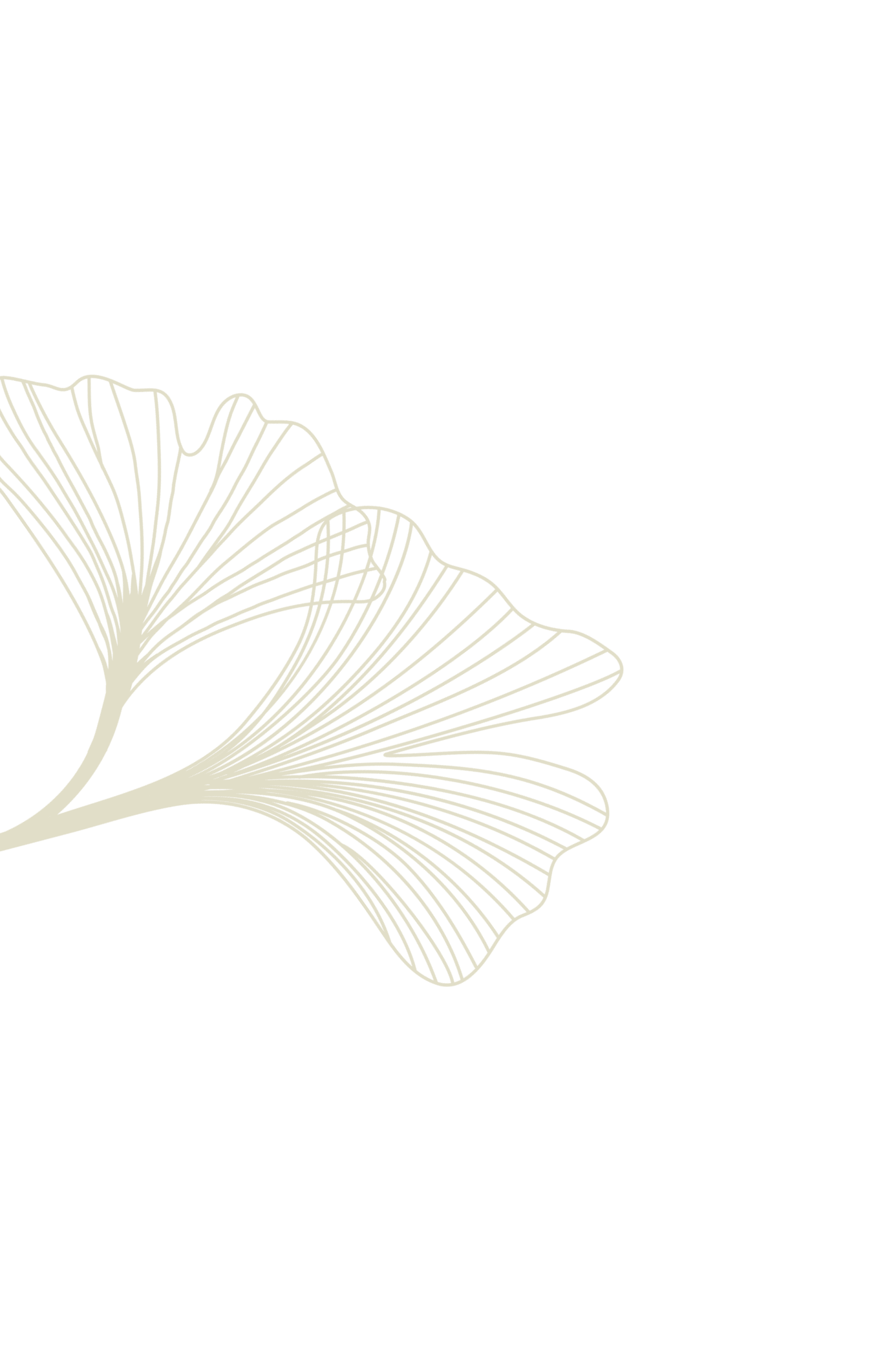 Abstract beige ginkgo leaf illustration on transparent background