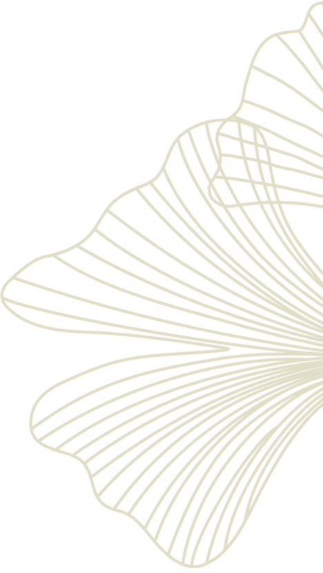 Decorative line art of two overlapping ginkgo leaves on transparent background
