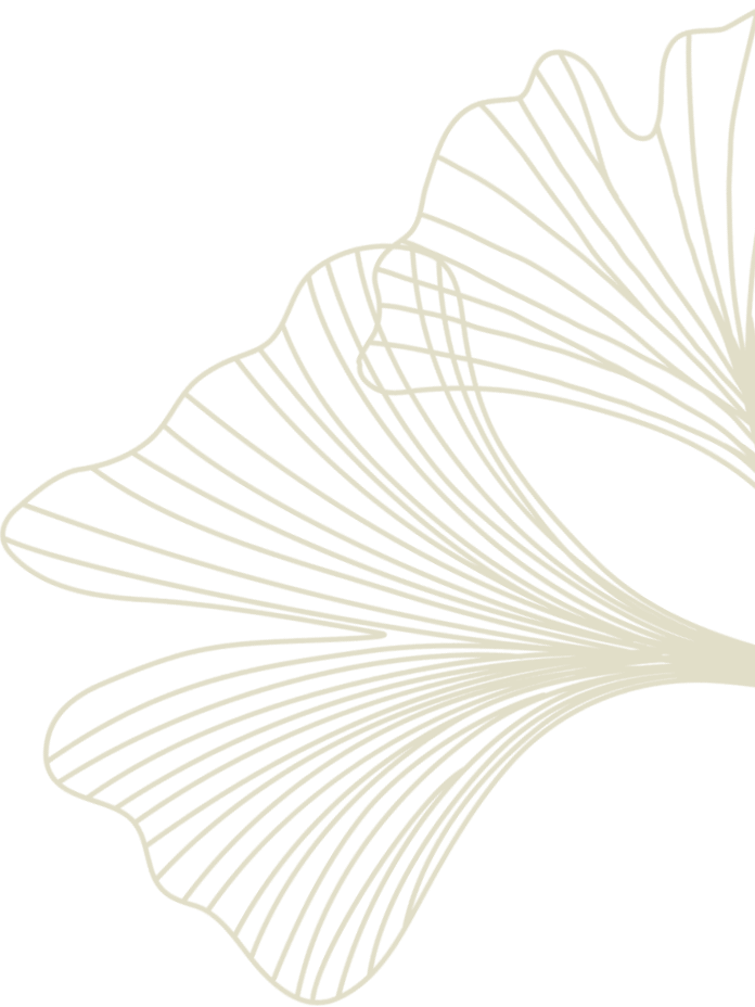 Minimalist beige ginkgo leaf line illustration on transparent background